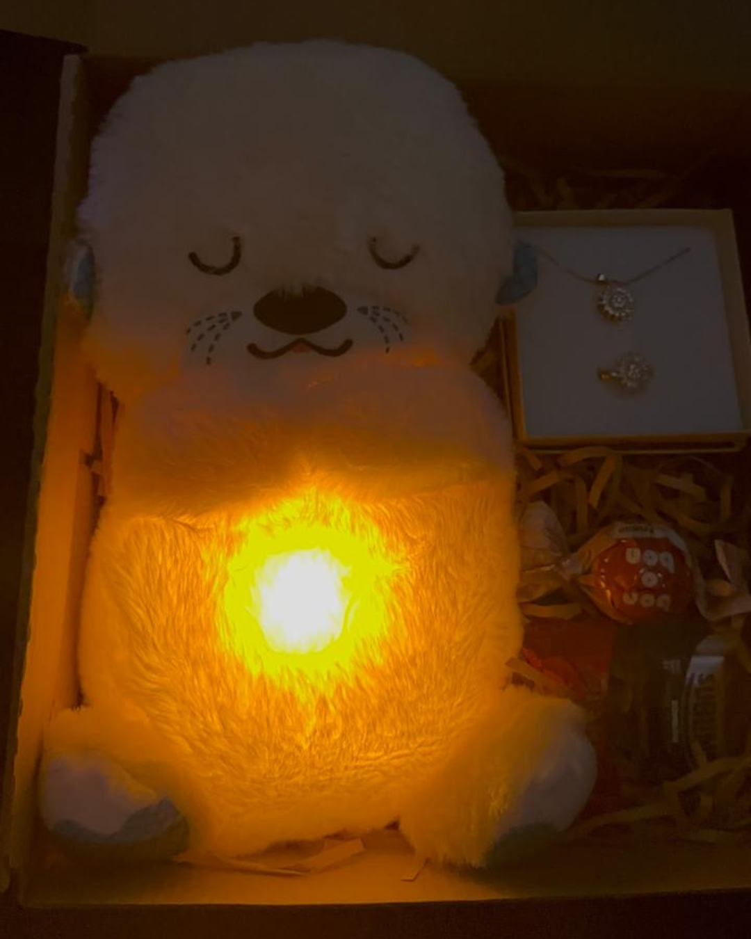 NUTRIA DORMILONA DE PELUCHE ( COMBO ) IDEAL POR SAN VALENTÍN